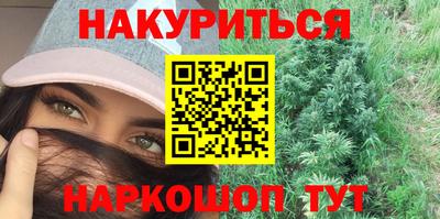 сатива Кингисепп