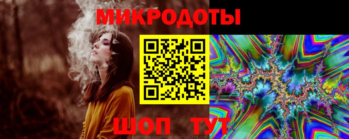 Галлюциногенные грибы Psilocybe Кунгур