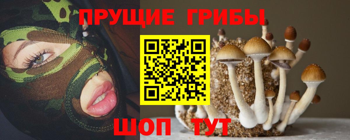 Псилоцибиновые грибы MAGIC MUSHROOMS  Вход с VPN  Кунгур 